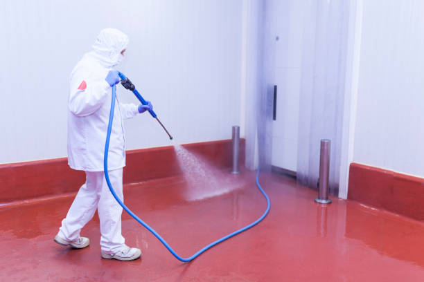 Best Spring Cleaning  in Llington, MI