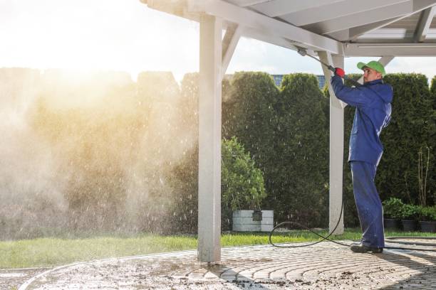 Best Paint Preparation  in Llington, MI
