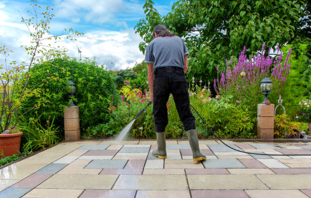 Best Winterizing Services  in Llington, MI