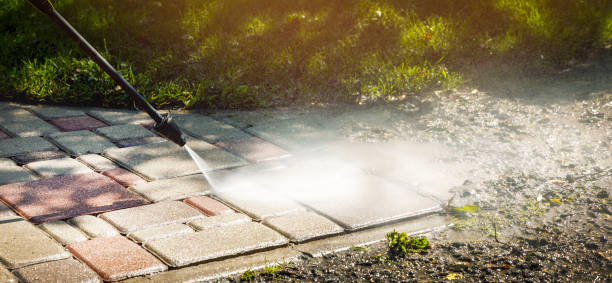 Best Solar Panel Cleaning  in Llington, MI