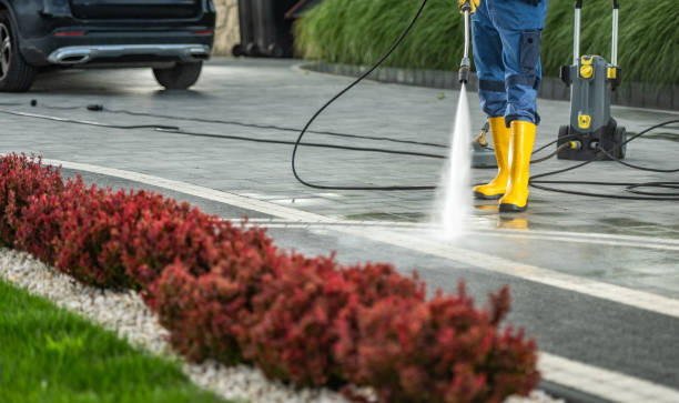 Best Roof Washing  in Llington, MI